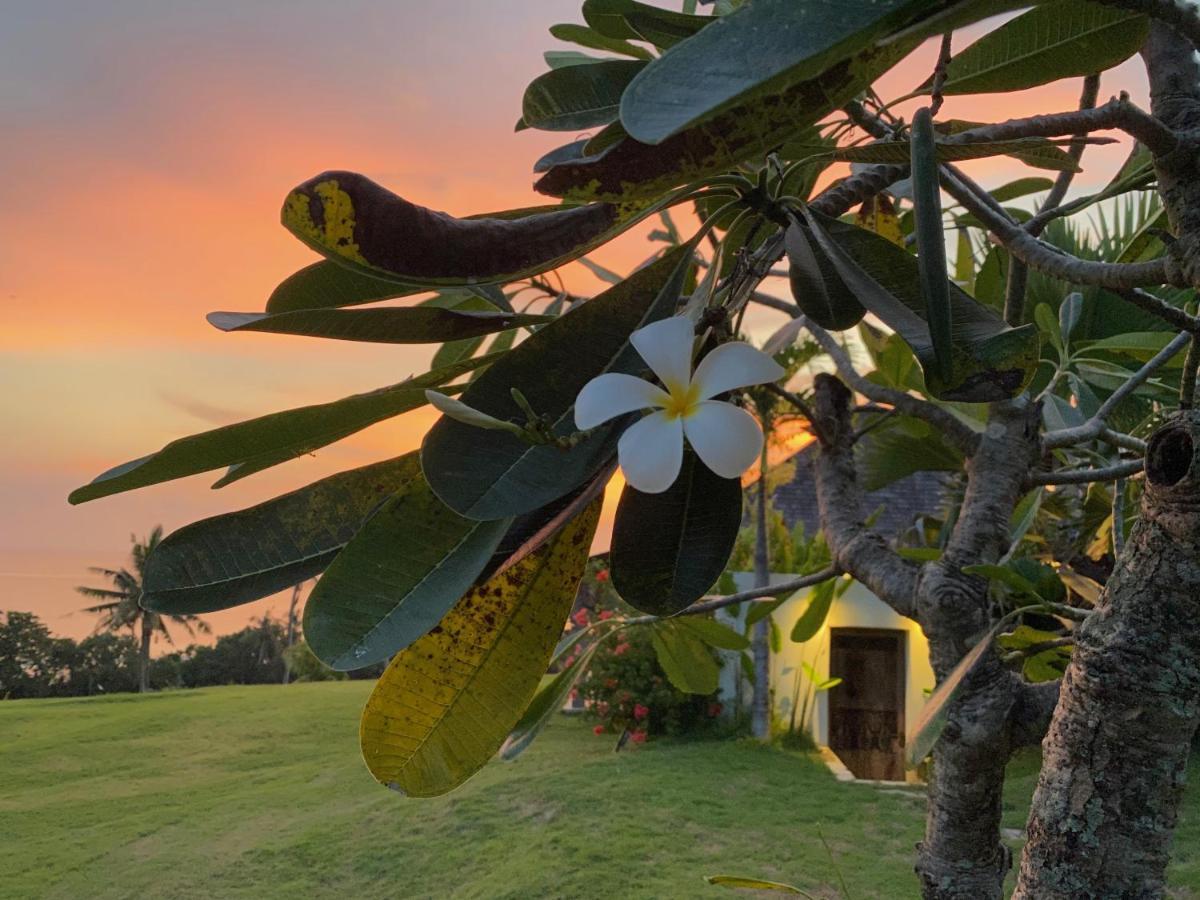 Balian Prana Hotell Selemadeg  Exteriör bild